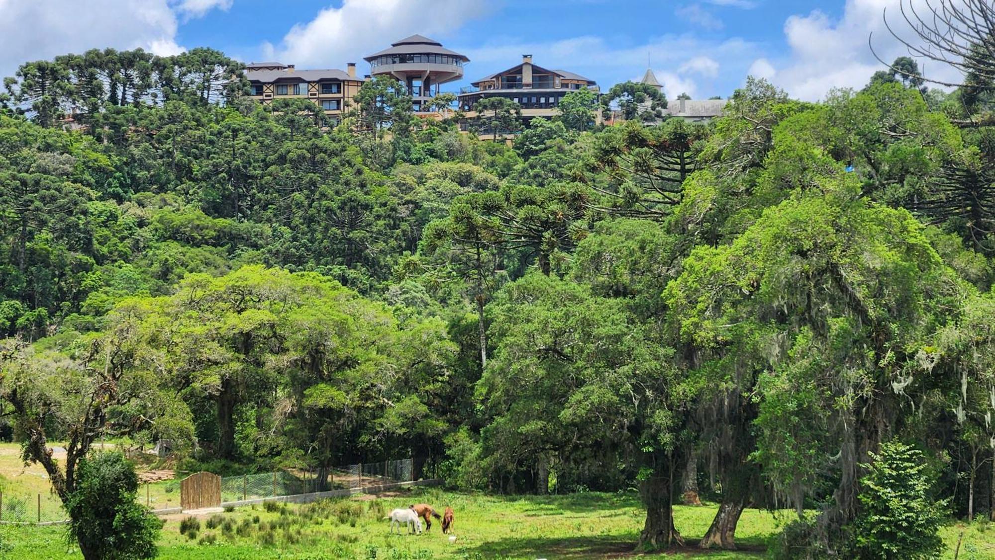 Chale Tanajura - Monte Verde - Lareira, Aconchego E Wifi Villa Exterior photo